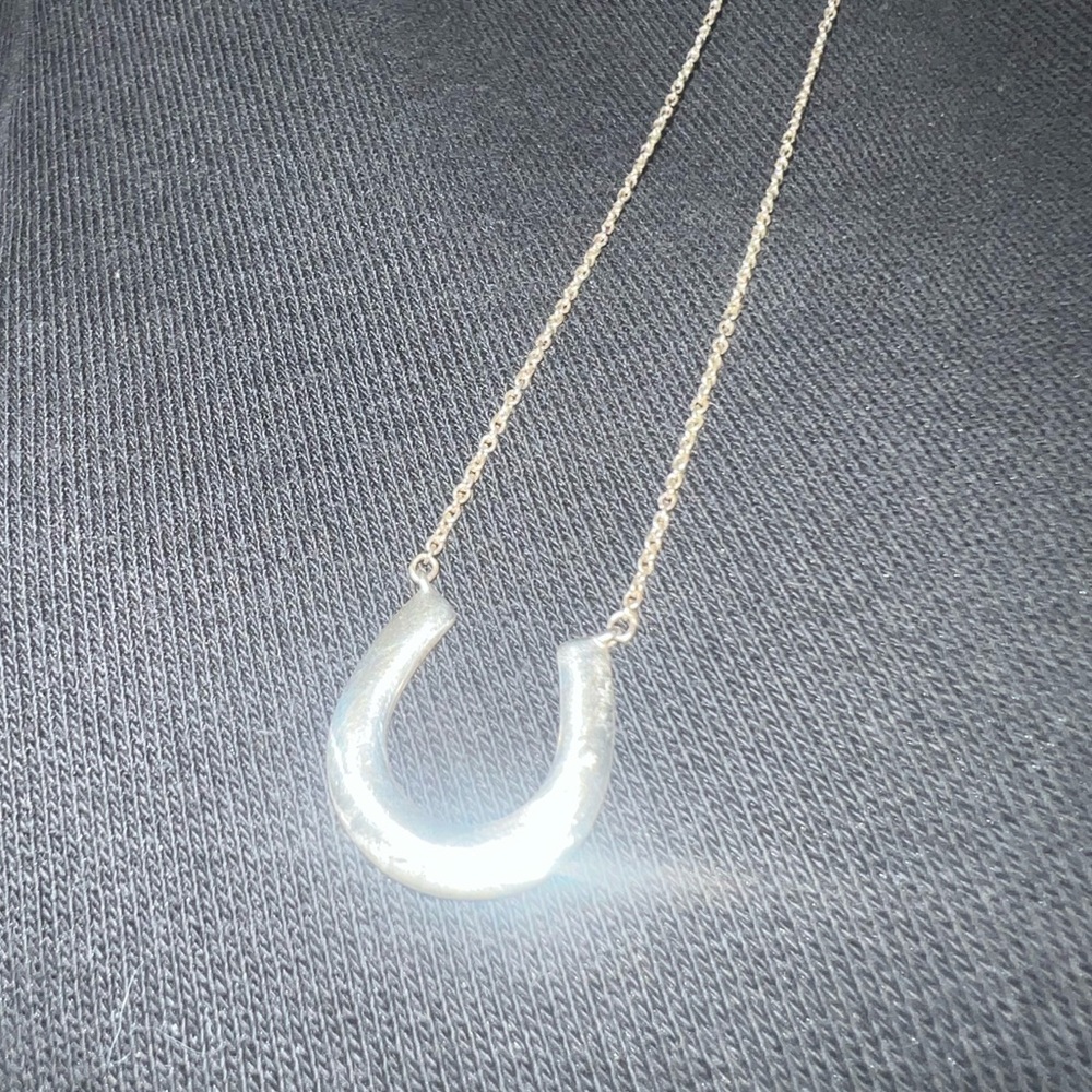 Tiffany & Co. Horseshoe necklace
